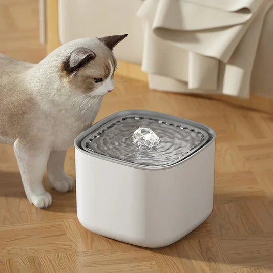 Cat Water Fountain